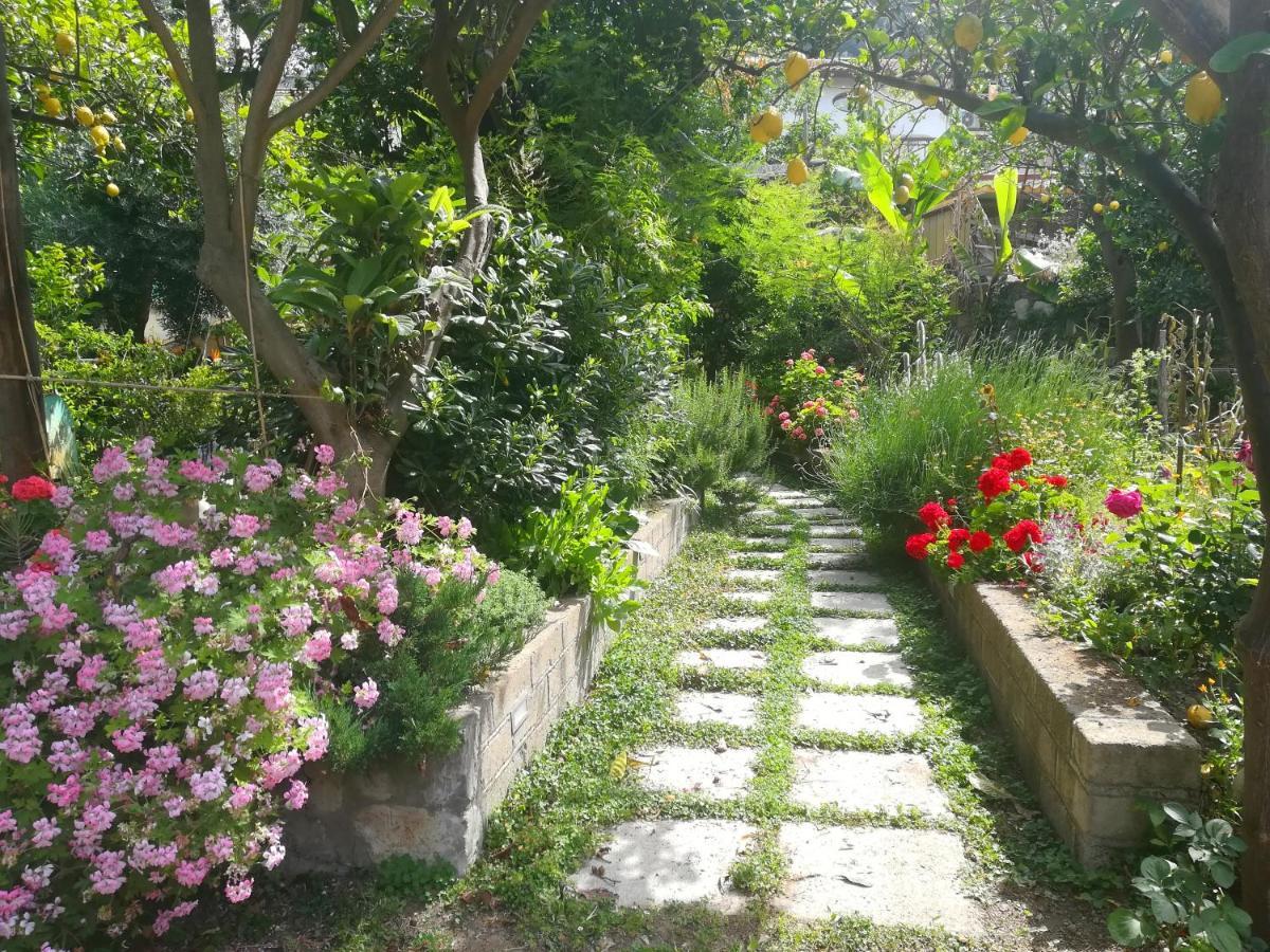 Bed and Breakfast Il Vialetto Dei Limoni Віко-Екуенсе Екстер'єр фото